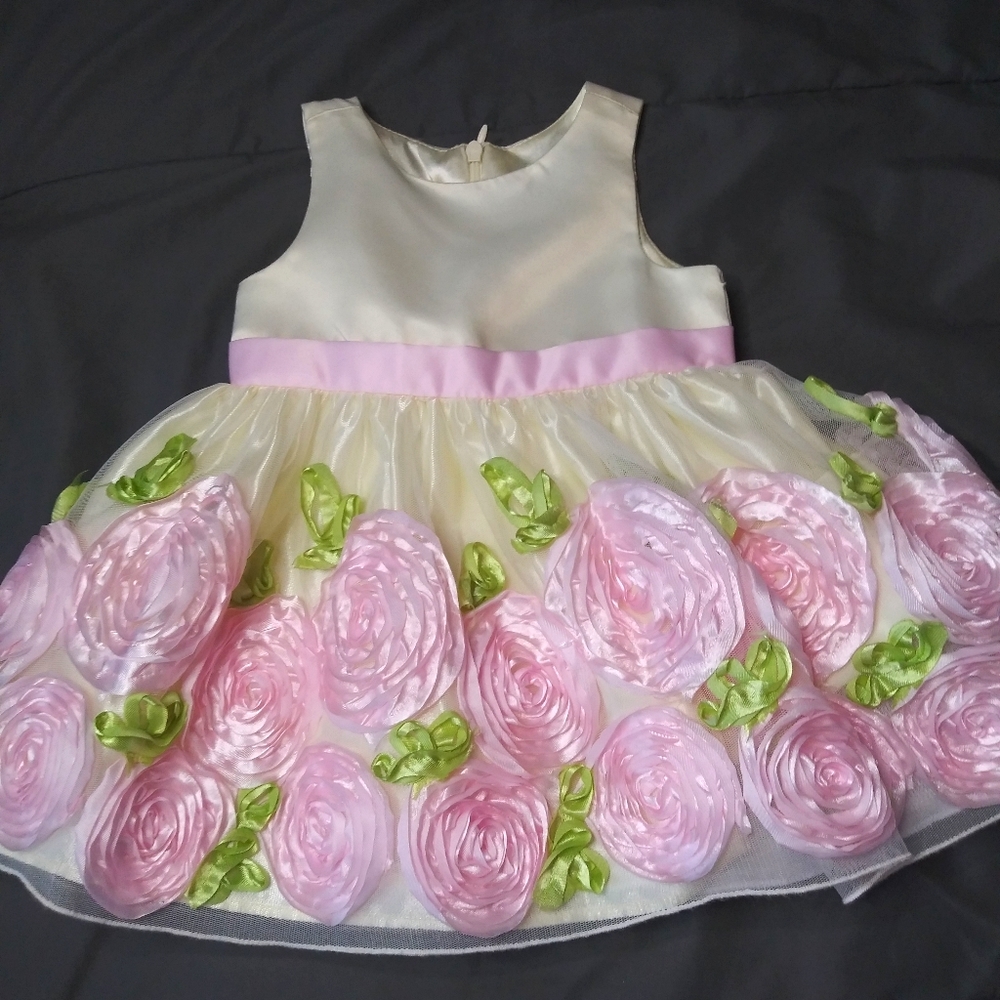 Girl Baby dress (Never worn)